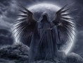 /album/galerie-photos/a3064527043-1-7-o74yjf8x-jpg/